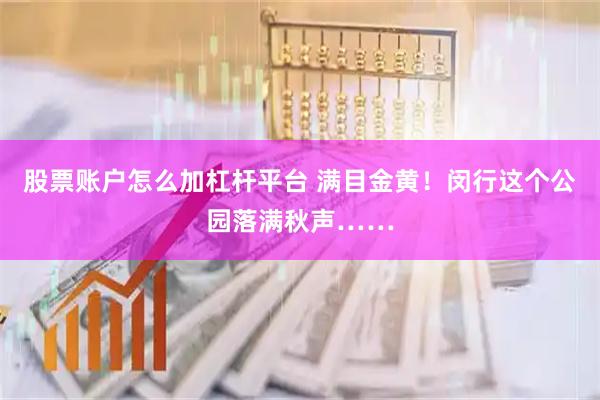 股票账户怎么加杠杆平台 满目金黄！闵行这个公园落满秋声……